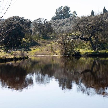 Casa Cortijo En Dehesa Sierra Leon Villa La Puebla de los Infantes Dış mekan fotoğraf